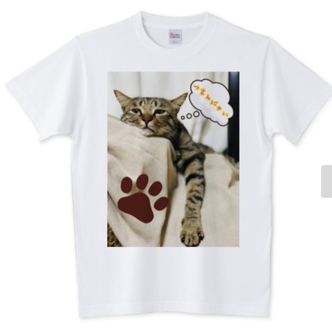 Tシャツ　つまんない表情　トラ猫