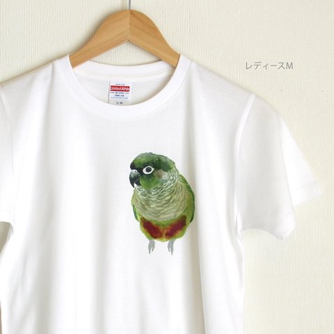 p-jet　ホオミドリアカオウロコインコ ノーマル Tシャツ　 / 鳥　インコ　ウロコインコ 