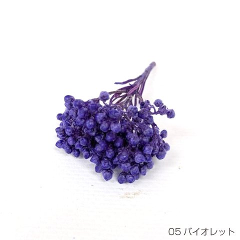 【即納】 ライスフラワー パステルシリーズ 70g バイオレット プリザーブドフラワー 花材 小さい花 花 プリザーブド花材 ハンドメイド パーツ アクセサリー 資材 紫