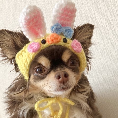 犬用＆猫用 うさひよこ帽子🐰💖 イースター🌼🐰🐾🐣🌷 ひよこ イースターエッグ 兎年