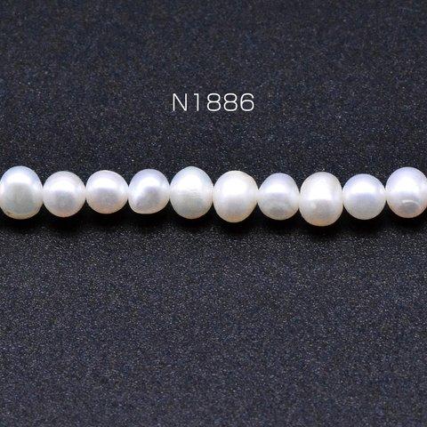 N1886  1連  淡水パールビーズ 不規則オーバル 天然素材 5-6mm 1連(約83ヶ)