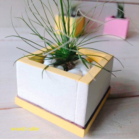 <new> wood  cube mini  (ワームホワイト×バナナクリーム)