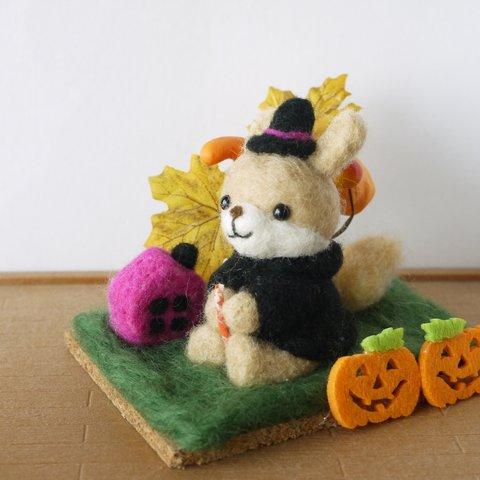 うさぎ魔女のハロウィン