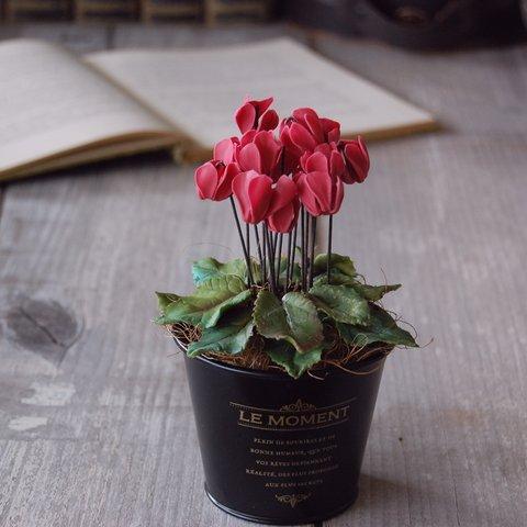 ◆粘土のお花◆　小さなシクラメン　レッド　グラックブリキカップ…　S597