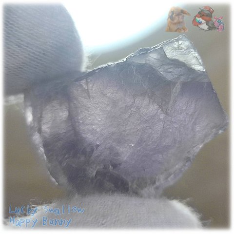 ◆ ダークカラー 内部高透明 宝石質 すみれ色 パープルフローライト 欠片 結晶 蛍石 原石 M13
