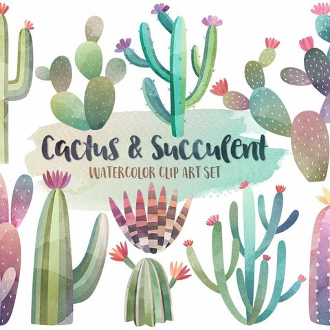 イラスト素材・Cactus デジタルコンテンツ