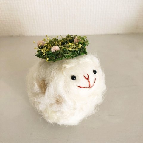 fluffy lambkin  フラワーみるくラムキン　flower　　母の日