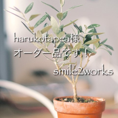 harukotapea様オーダー品です！