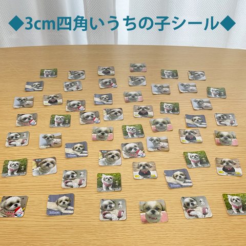 3cm四角いうちの子シール　★写真からうちの子シールを作ります★