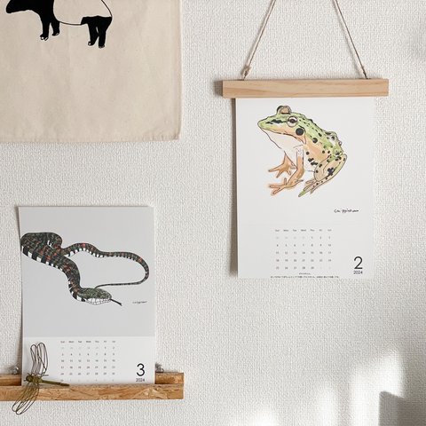 無の爬虫類両生類たちと歩むカレンダー　2024