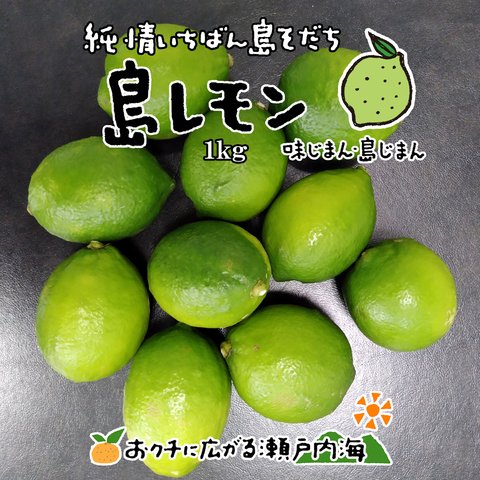 希望の島 グリーンレモン 1kg 家庭用 愛媛県 中島産 国産レモン