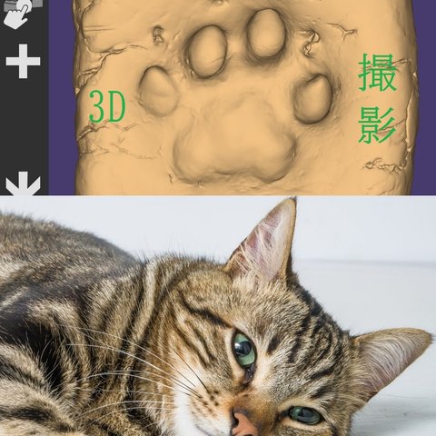 あなたの愛犬、愛猫の肉球を3D撮影、3Dプリンターでオリジナルのハンドメイド作品やグッツを作る事が可能です