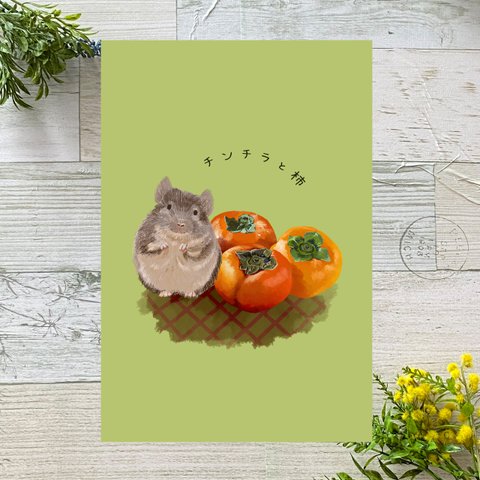 チンチラと柿　イラストポストカード2枚セット