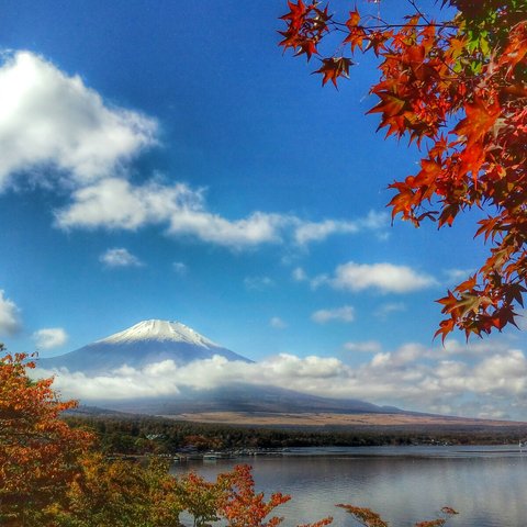 世界遺産 富士山 写真 紅葉と富士山　A4又は2L版 額付き