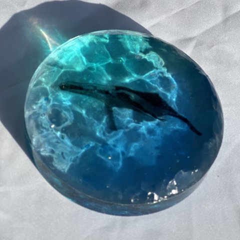 現品在庫有り！インテリアアート　ホエールブロック　鯨　クジラ円形　スケルトン海　レジンアート　波アート
