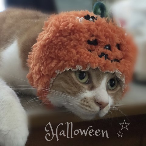 ハロウィン🎃パンプキン