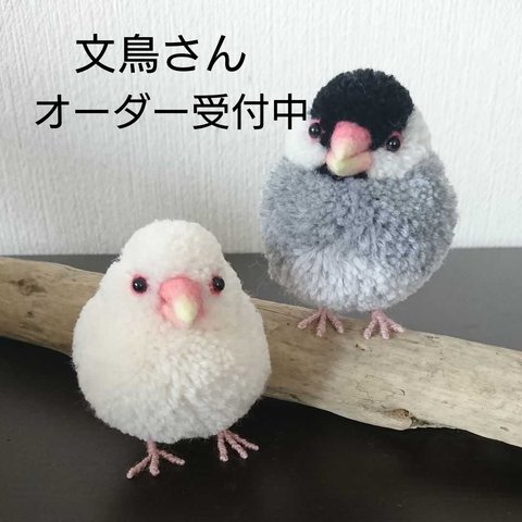 小鳥ぽんぽん 文鳥さん