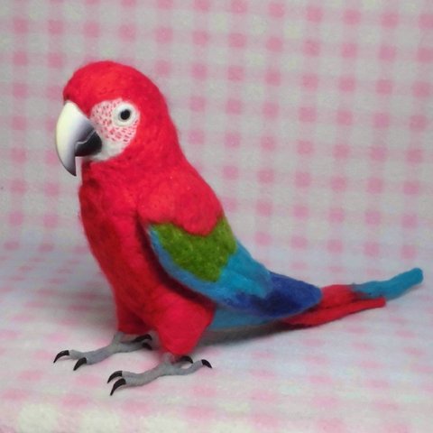 羊毛コンゴウインコ各種◆掲載中の羊毛ウロコとほぼ同サイズ◆　受注作成 　オーダー可能　羊毛フェルト 　鳥のオブジェ 　 羊毛インコ　 羊毛フィギュア   　工房小鳥屋さん