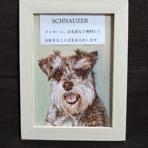 SCHNAUZER