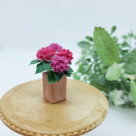 ミニチュア紫陽花✱四角い鉢植え