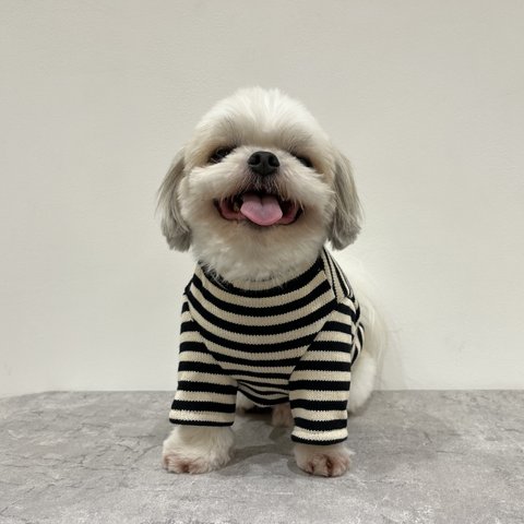 犬服　シンプル　おしゃれ　ボーダーニット