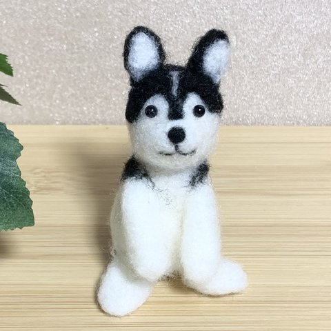 羊毛フェルト　ハスキー犬さん