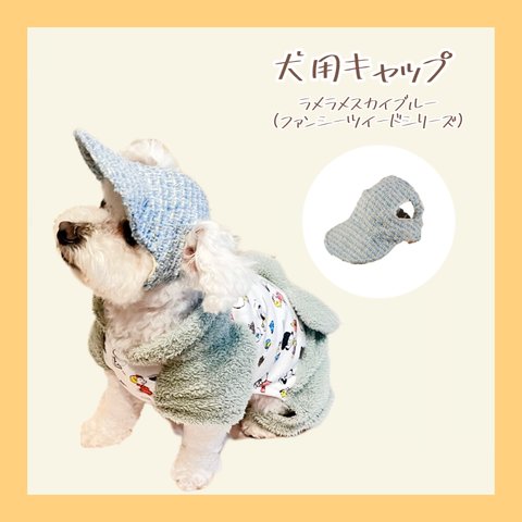 【AUTUMN/WINTER Collection】わんちゃんの目や頭を守る犬用帽子　ファンシーツイードシリーズ・ラメラメスカイブルー