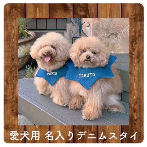 小型犬用 お名前刺繍入り デニムスタイ