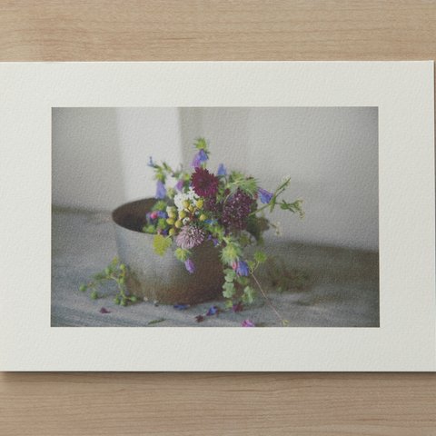 「Plant Photography」マーメイド プリント 004