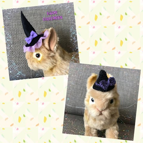 ウサギ用ハロウィン帽子2点セット