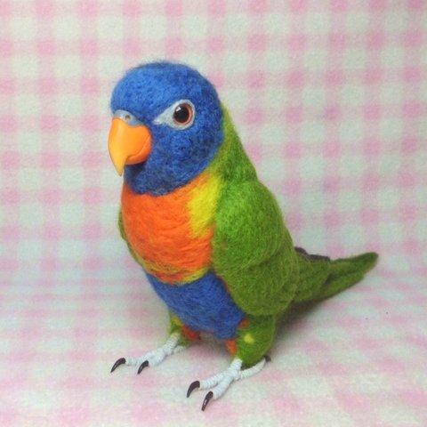 ライフサイズ 　ゴシキセイガイインコ  Wool figure life size rainbow lorikeet Stuffed wool  　羊毛インコ　鳥のオブジェ 　リアル　受注製作　