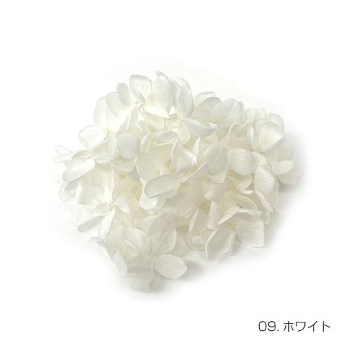 【即納】 ピラミッドアジサイグラバー 20g ホワイト プリザーブドフラワー あじさい 紫陽花 花材 花 プリザーブド花材 ハンドメイド パーツ アクセサリー 資材 緑