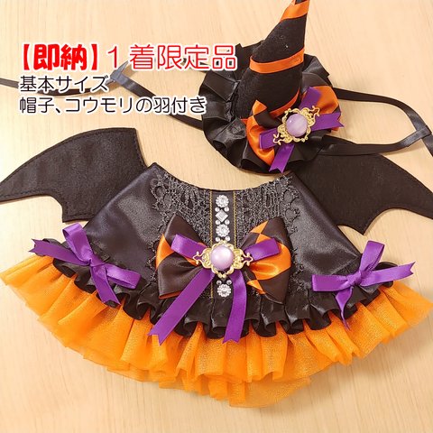 【即納】１着限定ハロウィン魔女ドレスセット