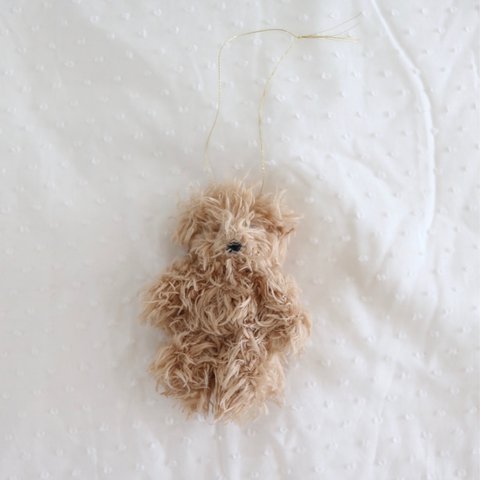 mini teddy ( long)