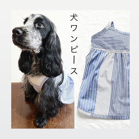 新作‼️ 犬ワンピース　ストライプ