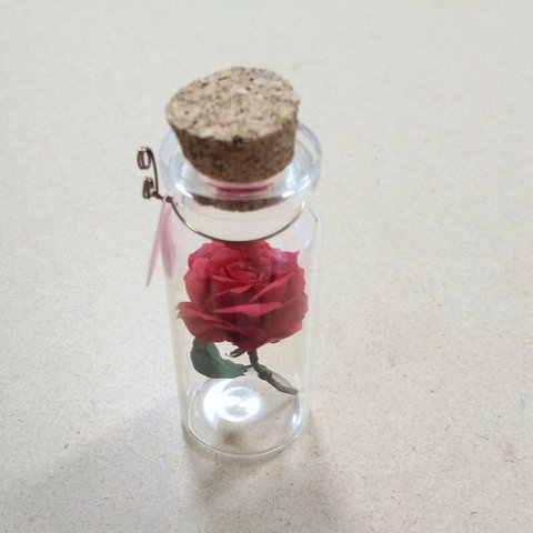 ﾐﾆ布花♡薔薇＊ﾚｯﾄﾞ·ｸｲｰﾝ