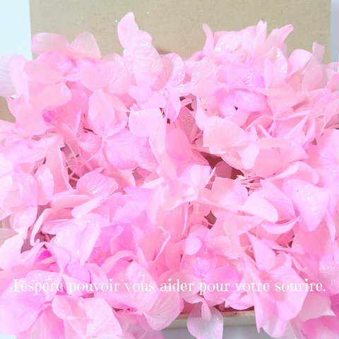 桜カラー　ゆめあじさい　プリザーブドフラワー　加工花材　ハーバリウム　花材