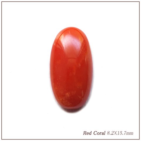 紅珊瑚・ オーバルカボション　8.2X15.7mm