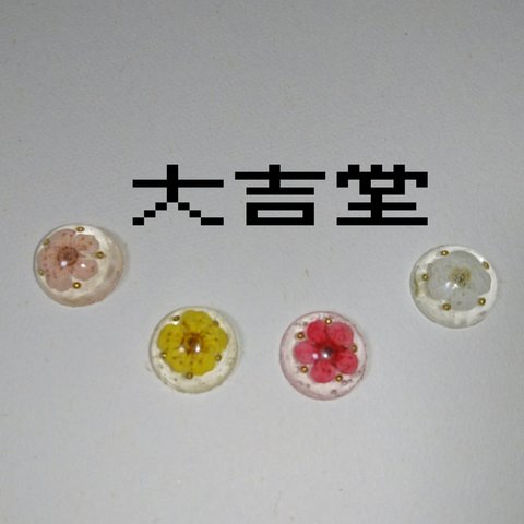 花一輪