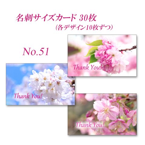 No.51  桜　　  名刺サイズサンキューカード  30枚