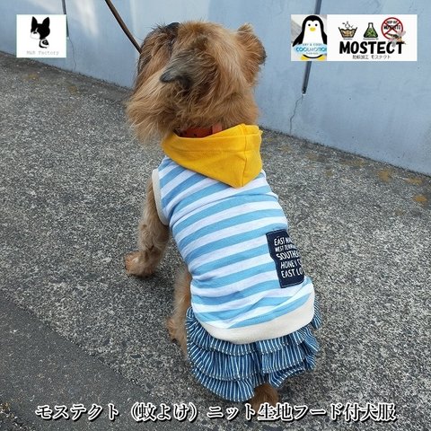 フィラリア対策！クール・防蚊加工生地・ブルー・ボーダーTシャツ2412　#犬服　#ボストンテリア #フレンチブルドッグ　#パグ　#トイプードル　#チワワ　#ヨーキー