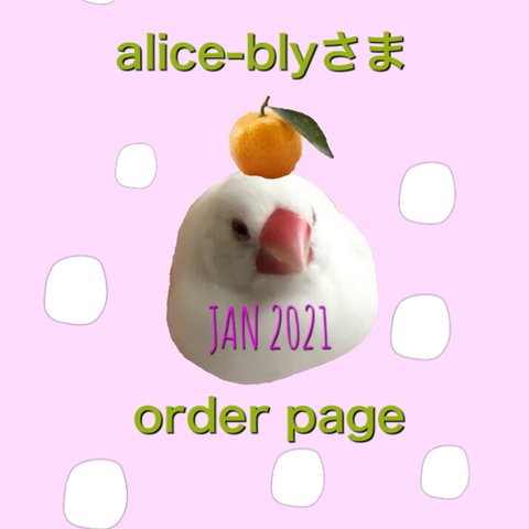 alice-blyさま　Jan 便　2021  