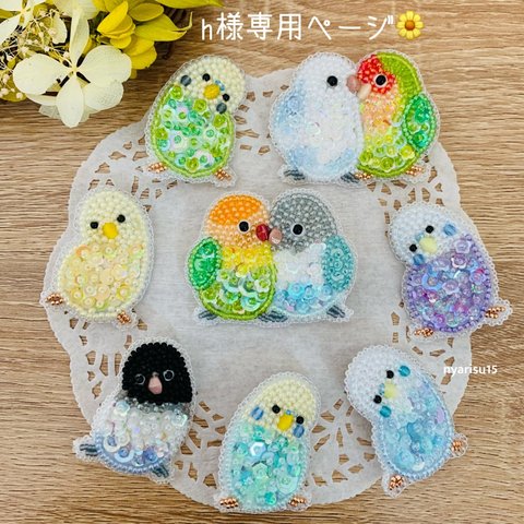 h様専用ページ🌼🦜💛🦜💛🌼