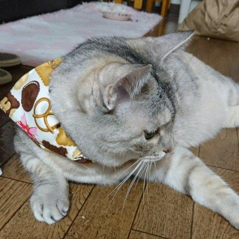 クッキー柄のおしゃれバンダナ🐱🎀🍪