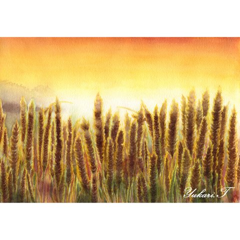 【原画】夕方の麦畑（水彩画）★自然 夕日 風景画 風水 絵画インテリア プレゼントに