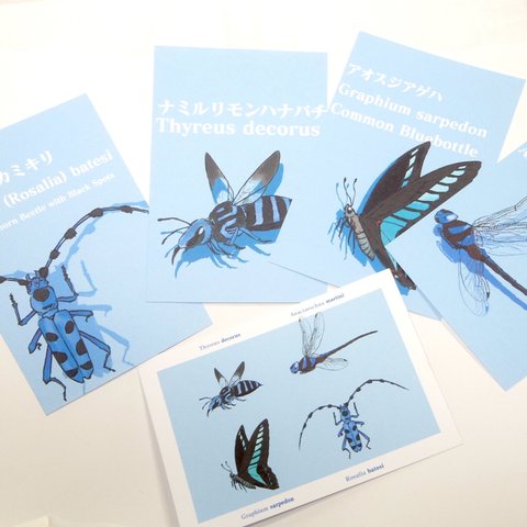 昆虫たちのカラーポストカード<ブルー>