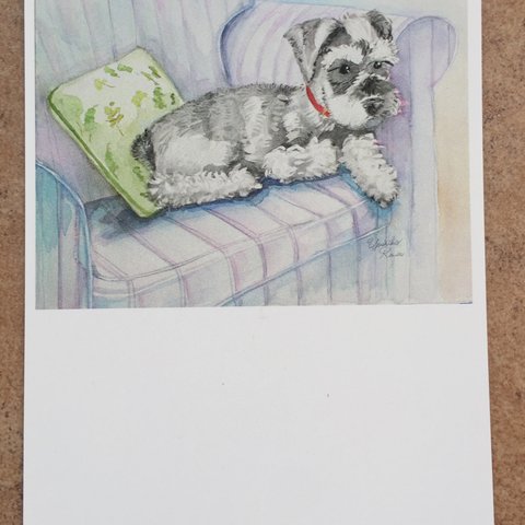 【5枚セット】透明水彩画のポストカード　ソファーでくつろぐ犬