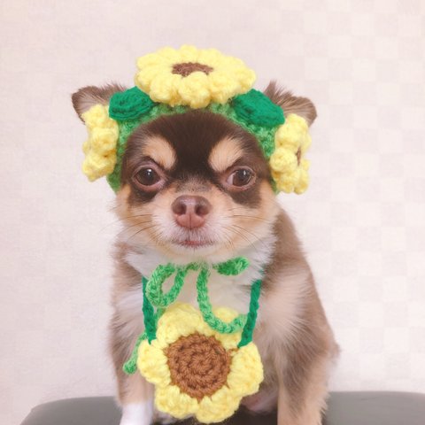 犬用＆猫用 ひまわり帽子🌻🌻  被り物 夏帽子