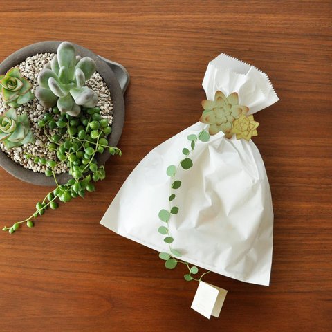 飾れる◎多肉植物のラッピングアクセサリー　Taniku accessories