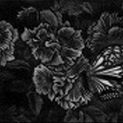 ネオ花鳥風月　花と蝶